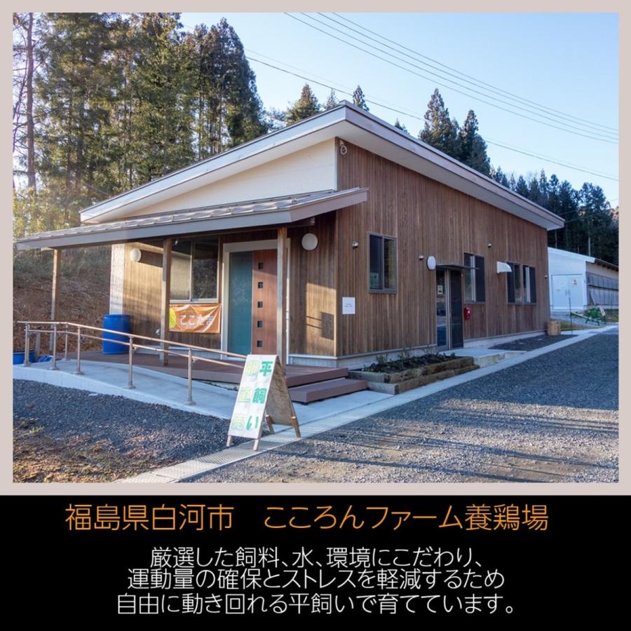  卵 平飼い卵 ここたま 50個 朝取 M L LL サイズ混合 JGAP 自家配合飼料 地下水 福島県