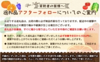 希少バレンシアオレンジ　5kg　※2024年6月下旬頃～7月上旬頃順次発送（お届け日指定不可）