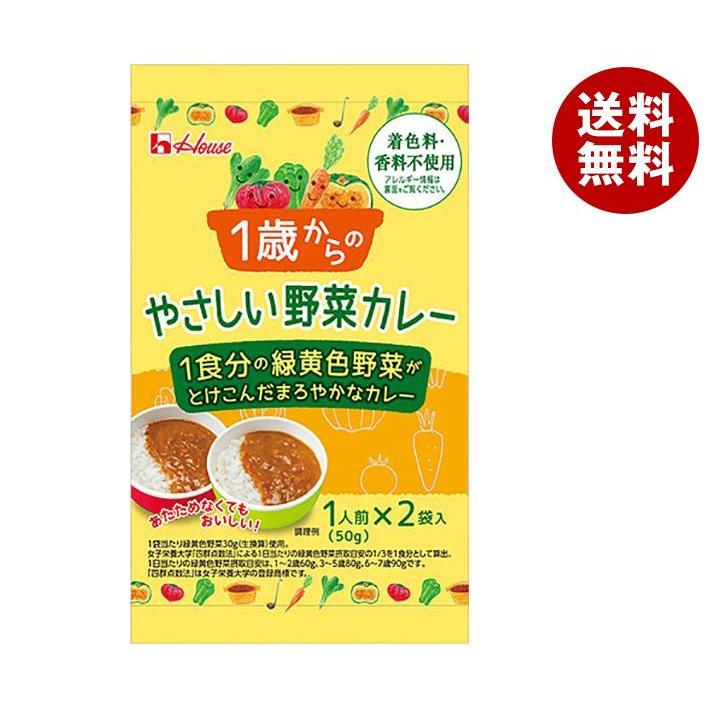 1歳からのやさしい野菜カレー100g