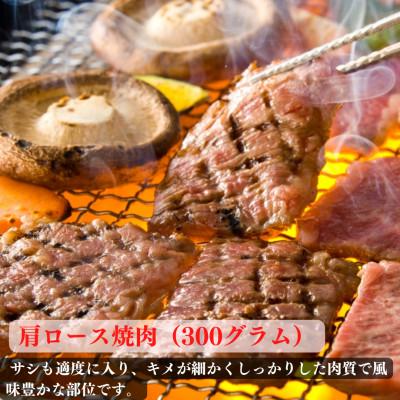 ふるさと納税 門川町 宮崎牛肩ロース焼肉(300g)宮崎県産和牛小間切れ(100g)(門川町)