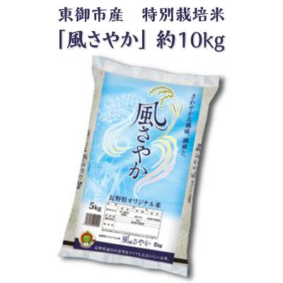 ふるさと納税 東御市  東御市産 特別栽培米「風さやか」約10kg