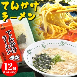 てんかけラーメン12個 玉林園《90日以内に順次出荷(土日祝除く)》 和歌山県 紀の川市 ラーメン 天かす