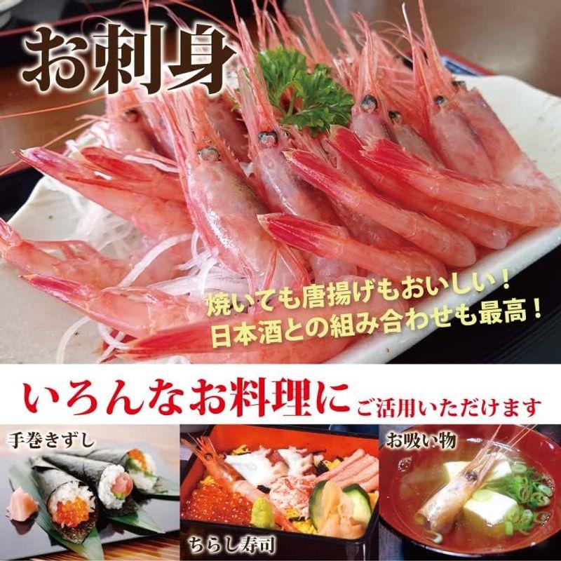 越前宝や 甘えび 500g（250g×2) 50〜30尾 子持ち 子無し サイズ不揃い 刺身用 甘エビ 越前 日本海産 エビ 海老 冷凍