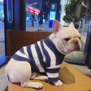 巴哥法斗衣服狗狗衣服秋冬毛絨保暖舒適斗牛犬寵物條紋加厚毛衣潮