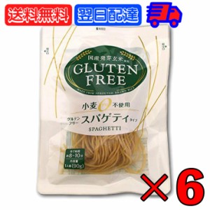 大潟村あきたこまち生産者協会 グルテンフリー スパゲティ 90g 6個 大潟村 おきたこまち グルテンフリー パスタ スパゲッティ グルテンフ