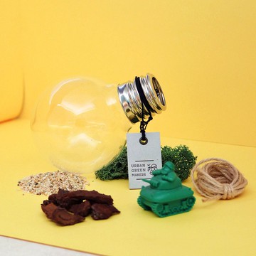 【讓我自己挑選】02透明燈泡 / 桌上型微造景盆栽 簡易版
