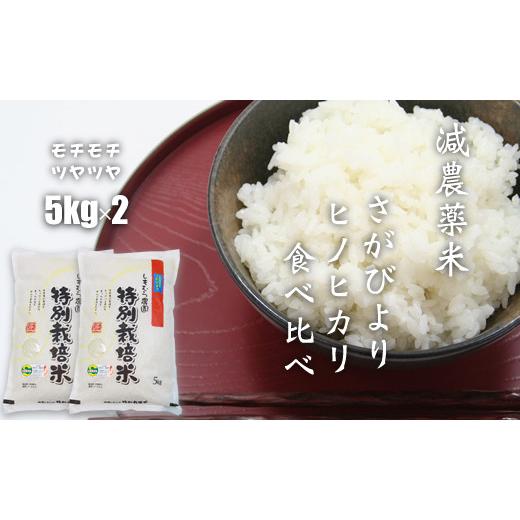 ふるさと納税 佐賀県 小城市 食べ比べ「減農薬米」さがびより・ひのひかり（5kg×各1袋）しもむら農園 令和5年度産