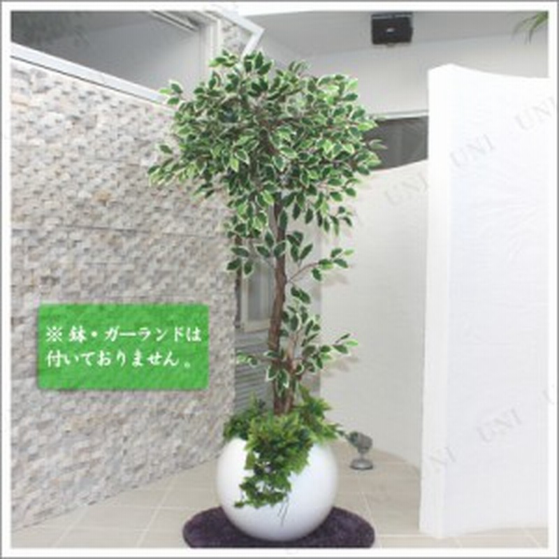 人工観葉植物 光触媒 ホワイトフィカス 175cm 光触媒 フェイクグリーン 消臭 モンステラ 観葉植物 インテリアグリーン 抗菌 通販 Lineポイント最大1 0 Get Lineショッピング