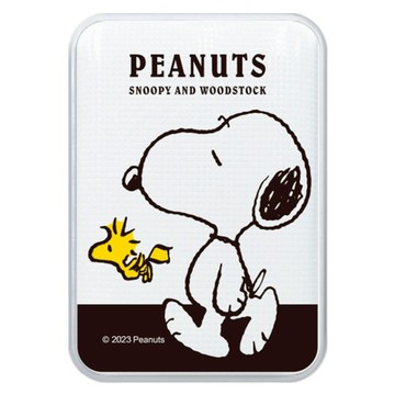 PEANUTS 史努比 小格紋Type-C雙向快充行動電源 12000series  經典散步  PSN-061
