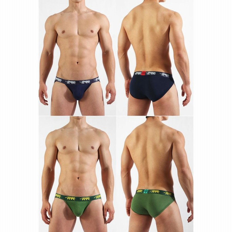 UNDER STAND ブリーフ4色 UNDERSTAND アンダースタンド ZOO-PANTS ズーパン ストライダー