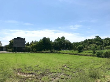 冬山生態公園小農地新樂園五結店｜宜蘭縣冬山鄉珍珠一段