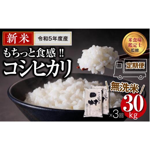 ふるさと納税 福島県 田村市    ＼定期便3回／ コシヒカリ 30kg 10kg ずつ 3回 配送ギフト 贅沢 のし対応 １週間以内発送 福…