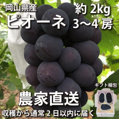 岡山県産 ピオーネ 約5kg