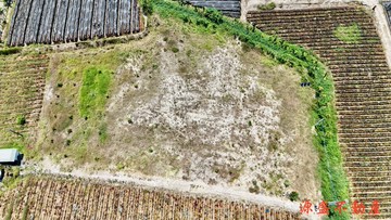 獨家專約萬金稀有休閒農地｜屏東縣萬巒鄉萬金段