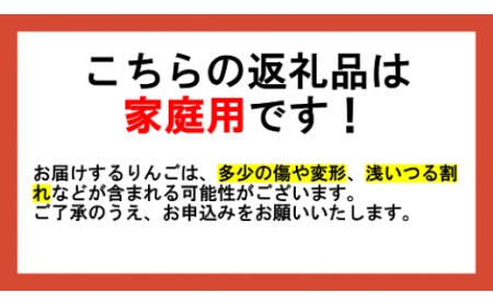 りんご サンふじ 家庭用 小玉 10kg 原山農園 沖縄県への配送不可 2024年1月上旬頃から2024年3月上旬頃まで順次発送予定 令和5年度収穫分 信州 果物 フルーツ リンゴ 林檎 長野 17000円 予約 農家直送 長野県 飯綱町 [0620]