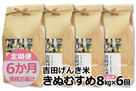 「吉田げんき米」きぬむすめ8kg（2kg×4）