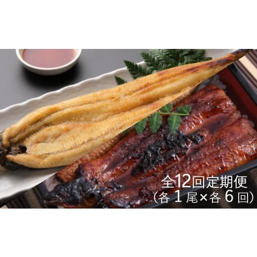 激安大特価 ふるさと納税 高知県 室戸市 蒲焼き・白焼きを交互にお届け