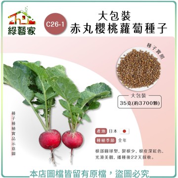 【綠藝家】大包裝C26-1.赤丸櫻桃蘿蔔種子35克(約3700顆)