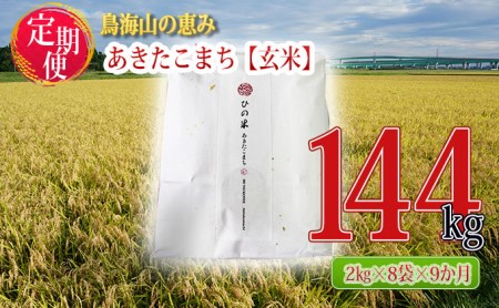 《定期便》16kg×9ヶ月 秋田県産 あきたこまち 玄米 2kg×8袋 神宿る里の米「ひの米」（お米 小分け）