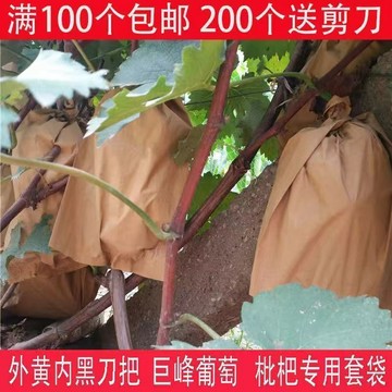批發複合紙遮光葡萄袋子枇杷芒果袋巨峯葡萄套袋防蟲防鳥紙袋防水