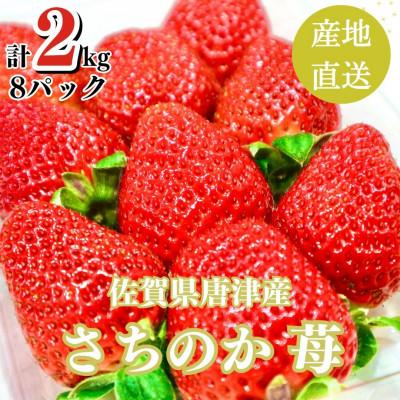 ふるさと納税 唐津市 2kg 山の斜面で日光を浴びたビタミンC豊富な苺!2024年3月より順次発送