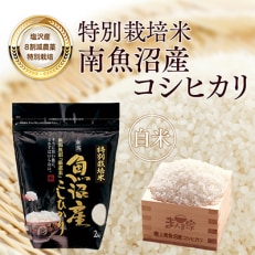 特別栽培米「南魚沼産コシヒカリ」精米8kg 全6回