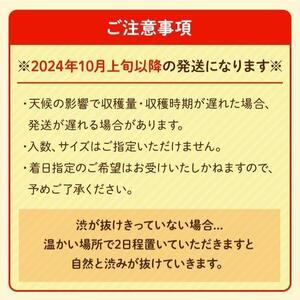 ふるさと納税 先行予約 和歌山県産 平核無柿 贈答用 赤秀 8〜13玉 和歌山県九度山町