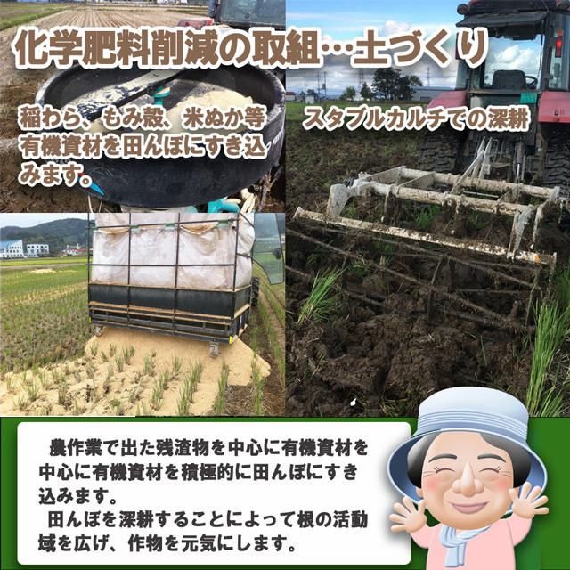 お米　コシヒカリ　15kg　令和5年　新潟産　有機栽培　玄米　無農薬　無化学肥料