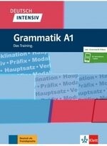 Deutsch intensiv -Grammatik A1 (1版) COLLECTIF  MAISON LANGUES
