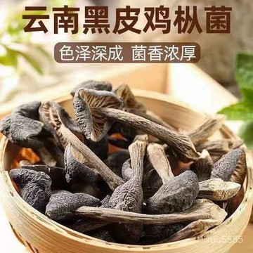 精選黑皮鷄樅菌幹貨雲南鷄縱菌新鮮特産野生菌火鍋食材煲湯材料