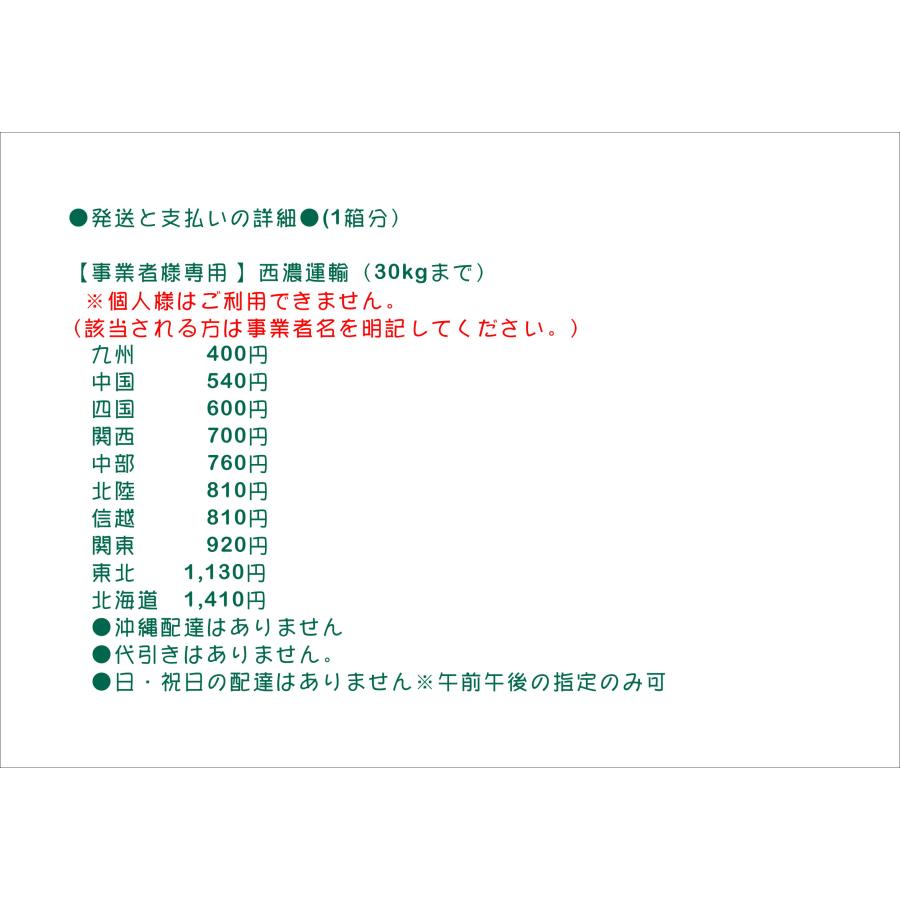 BIGHORN ヘラクレスリッキー初〜２令幼虫 単品 コサンガorサンタンデール産 外国産クワガタムシ