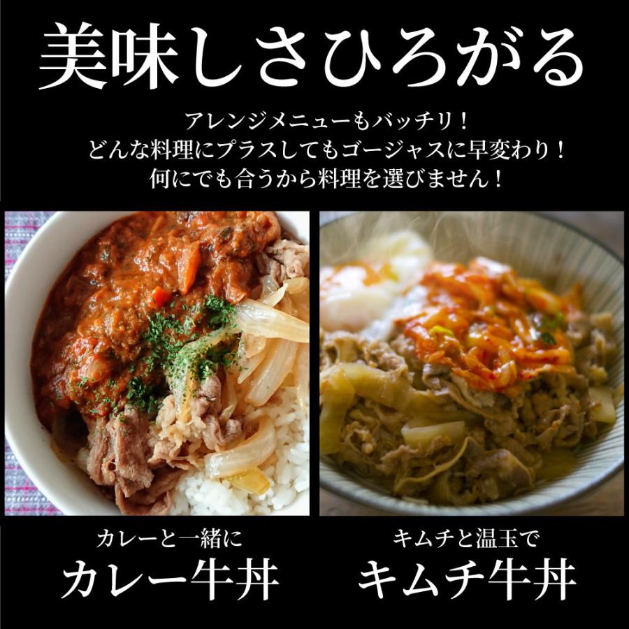 牛丼 牛丼の具 30個セット お肉屋さんのこだわり たっぷり牛肉の簡単牛丼 1食120g