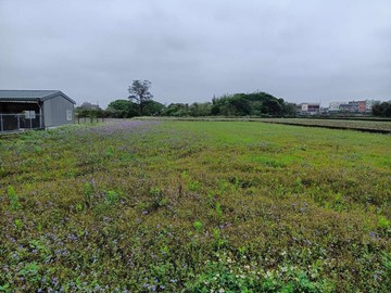 青埔高鐵站66坪小田｜桃園市中壢區民權路五段