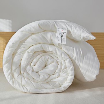 A類嬰兒級原棉大豆被子棉被冬被加厚保暖夏季空調被純棉春秋被