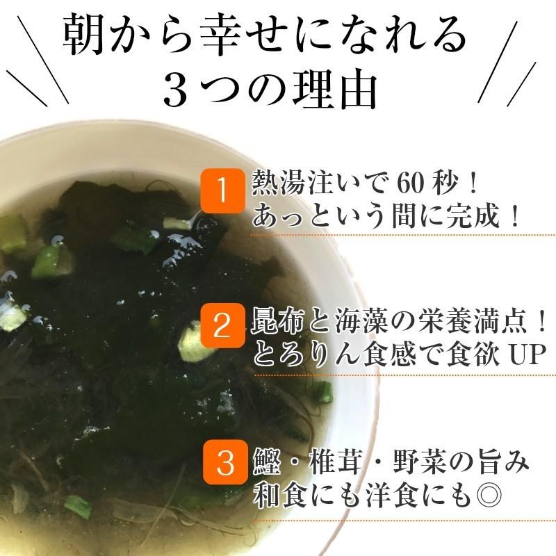 昆布 海藻  即席スープ 業務用 がごめ昆布 わかめ とろろ昆布入 海藻スープ インスタント お得 食物繊維 たっぷり150杯分 とろりんスープ(プレーン) 60g×10袋