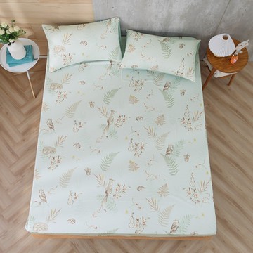 鴻宇 100%精梳棉 美國棉300織 60支 狐狸艾莉森 綠 單人床包枕套二件組