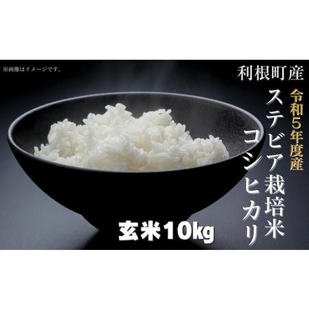 ふるさと納税 利根町産ステビア栽培米（コシヒカリ　玄米）10kg 茨城県利根町