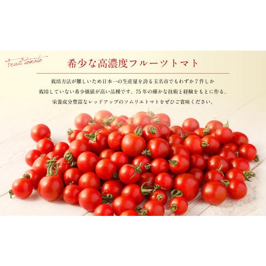 ふるさと納税 熊本県 ソムリエ ミニトマト  プラチナ 3kg とまと トマト