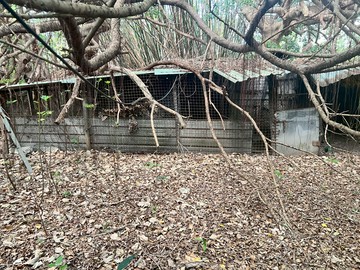 後龍國小投資建地｜苗栗縣後龍鎮龍東段