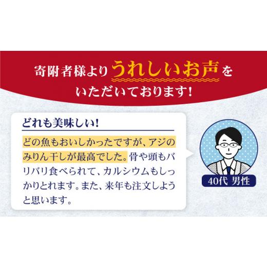 ふるさと納税 長崎県 壱岐市 旬の海産物セットA     干物 ひもの みりん干し アジ イワシ サンマ 詰め合わせ 定期便 [JCY010] 54000 54000円