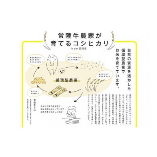 ふるさと納税 茨城県 那珂市 常陸牛農家が育てるコシヒカリ 5kg×12回（令和５年度産）