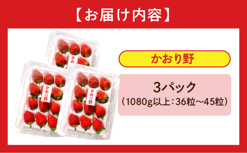 宮崎県産イチゴ「かおり野」3パック（1080g以上：36粒～45粒）_M260-014