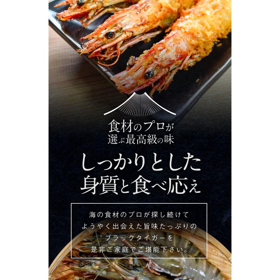 有頭ブラックタイガー 500g (約10尾) 1尾当たり18〜19cm 特大サイズ エビ 専門店・料亭の味 業務用 お徳用 送料無料