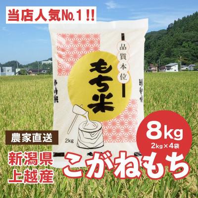 ふるさと納税 上越市 ブランドもち米「こがねもち」令和5年産 新潟県産