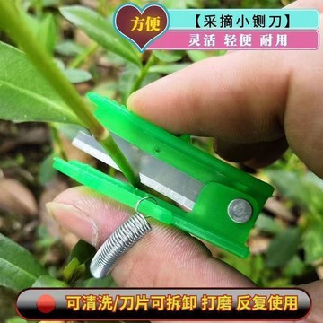 免運⭐臺灣出貨🌛黃瓜豆角葡萄掐須打尖打叉刀新款採摘刀打葉摘菜工具採摘小鍘刀 園藝剪 剪樹刀 樹枝剪刀 修枝剪稀果