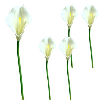 FLORAL M 仿真花 氣質仙女黃蕊白海芋花材 5個 居家裝飾  5件  白色