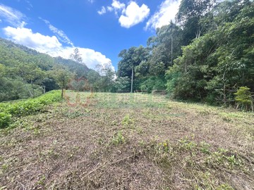 魚池近日月潭俗賣建地農地｜南投縣魚池鄉茅埔段