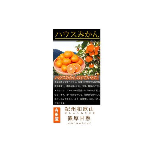 ふるさと納税 和歌山県 印南町 ☆先行予約☆赤秀品 紀州和歌山ハウスみかん 2.5kg