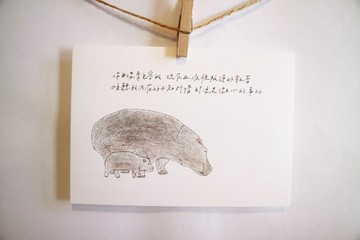 動物與牠的詩66/ 河馬/ 手繪 /卡片 明信片