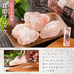 おろし金付き！ピンク岩塩食用ブロック2本セット(計約300g) 煮込み料理はブロックのまま投入！小皿において店舗や室内の装飾にも！ヒマラヤ岩塩 ピンク岩塩 岩塩 塩 食塩 調味料 ミネラル 食用 ブロック18-49